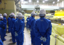 現地確認の様子